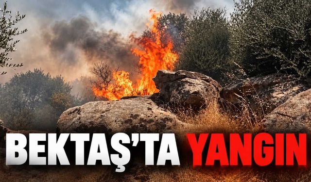 Alanya Bektaş'ta çalılık yangını: 1 dönüm alan zarar gördü