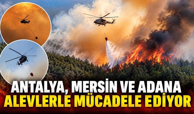 Antalya, Mersin ve Adana’da orman yangını mücadelesi