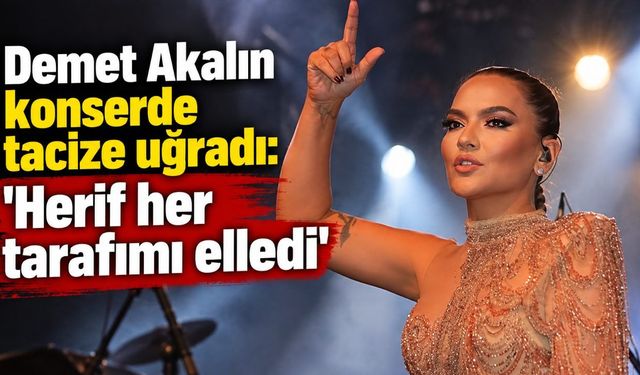 Demet Akalın konserde tacize uğradı: 'Herif her tarafımı elledi'