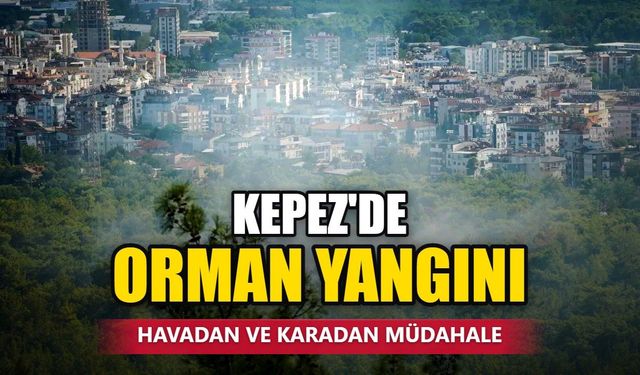 Antalya Kepez'de orman yangını: Hava ve kara ekipleri müdahalede