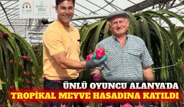 Kıvanç Kasabalı Alanya'da tropikal meyve hasadına katıldı
