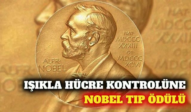 2026 Nobel Tıp Ödülü optogenetik keşfiyle üç isme verildi