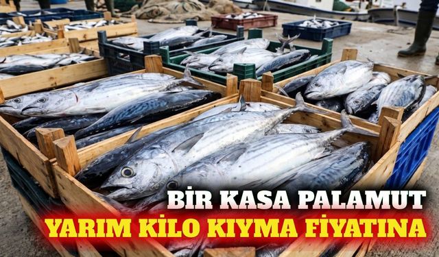 Bir kasa palamut yarım kilo kıyma fiyatına geriledi