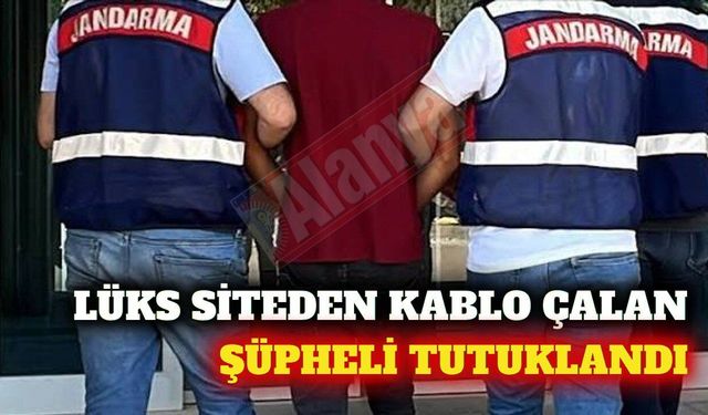 Alanya'da lüks siteden kablo çalan şüpheli tutuklandı