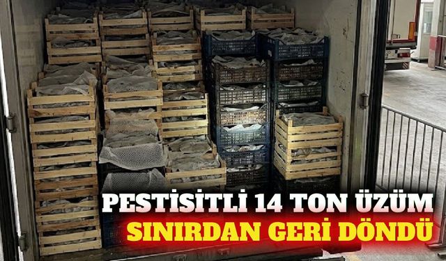 Pestisitli 14 ton üzüm Bulgaristan sınırından döndü