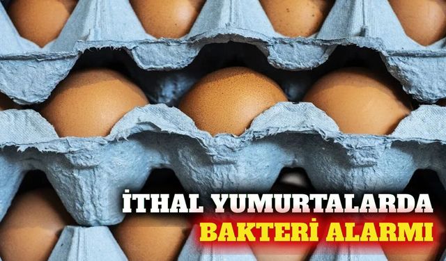 İngiltere'de Ukrayna menşeli yumurtalar toplatılıyor