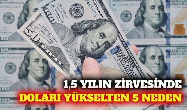 Dolar endeksi 1,5 yılın zirvesinde: Yükselişin 5 nedeni