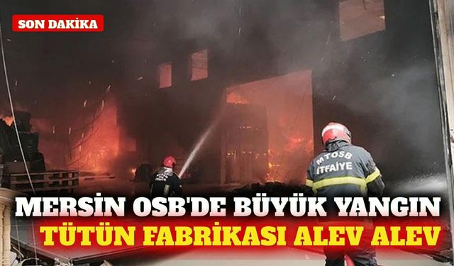 Mersin OSB'de tütün işleme tesisinde yangın