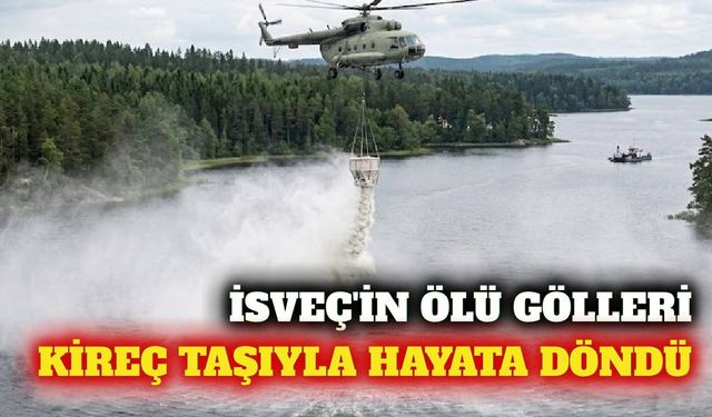 İsveç'te asitlenen göller kireç taşıyla kurtarıldı