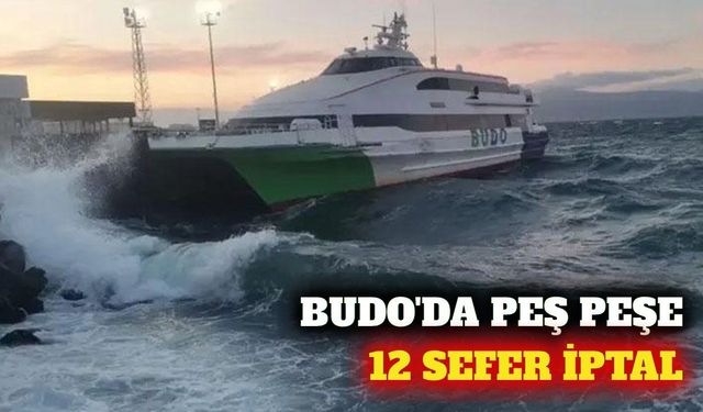 BUDO yarınki 12 seferini iptal etti