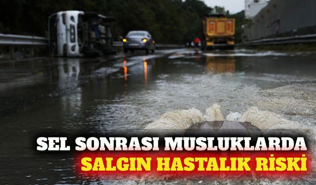 Uzmandan sel sonrası şebeke suyu ve temizlik uyarısı