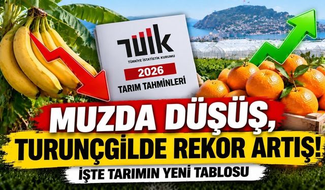 Alanya tarımında kritik dönem! TÜİK'in rakamları şaşırttı