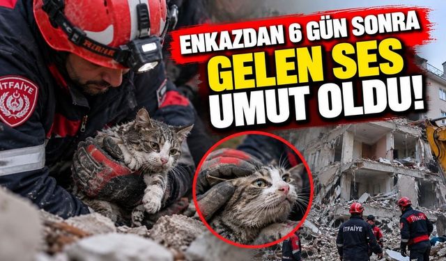 Enkazdan 6 gün sonra gelen ses umut oldu: Yaralı kurtarıldı