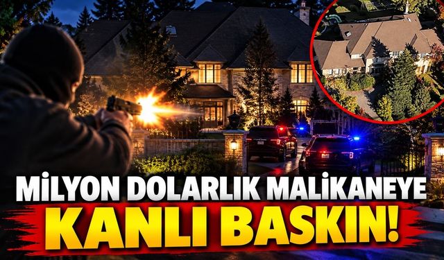 Milyon dolarlık malikaneye kanlı baskın! İş insanı ve ailesine dehşeti yaşattılar