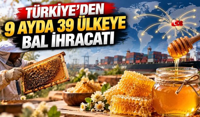 Türk balı dünyayı fethediyor