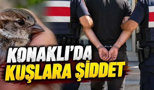 Alanya'da kuşlara şiddet şüphelisi tutuklandı
