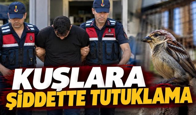 Alanya’da kuşları öldürüp görüntüleri paylaşan Yusufcan Turay tutuklandı