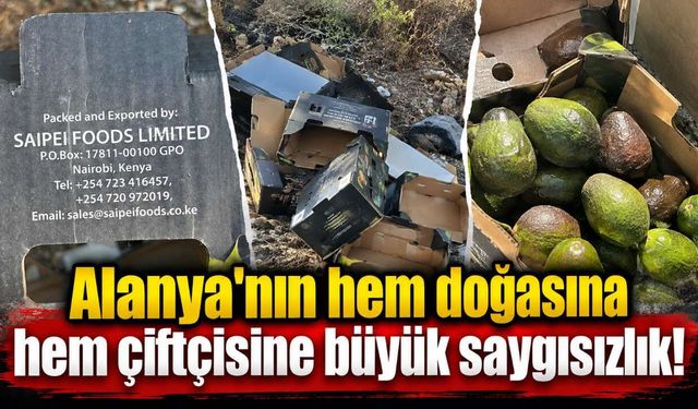 Alanya'nın hem doğasına hem çiftçisine büyük saygısızlık!
