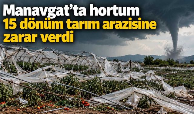 Manavgat’ta hortum 15 dönüm tarım arazisine zarar verdi