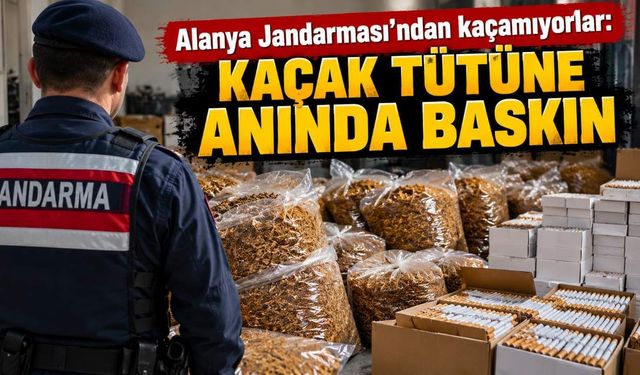 Alanya Jandarması'ndan kaçamıyorlar: Kaçak tütüne anında baskın