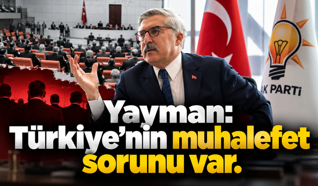 Yayman: Türkiye’nin muhalefet sorunu var