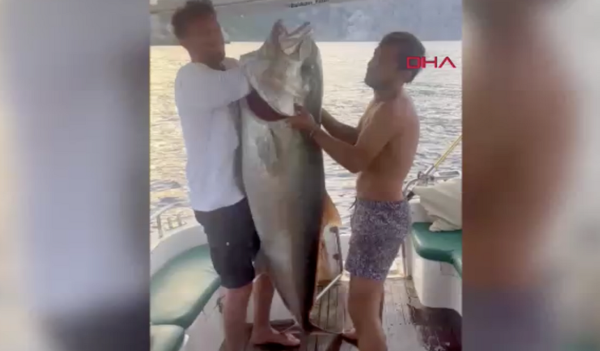 Antalya'da yakaladığı 60 kiloluk balık yakalayıp gelirini kimsesiz çocuklara bağışladı