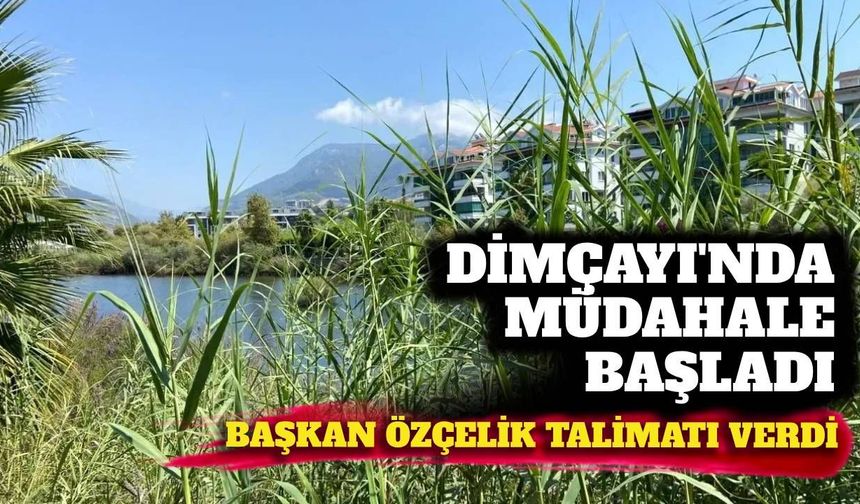 Dimçayı'nda müdahale başladı: Başkan Özçelik talimatı verdi