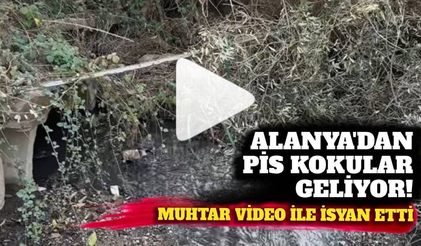Alanya’dan pis kokular geliyor: Muhtar video ile isyan etti