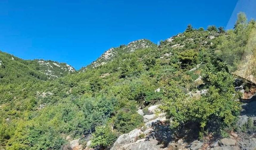 Zafer Partili Biner: ‘Beton dikmek için kepçe girince herkes suspus’