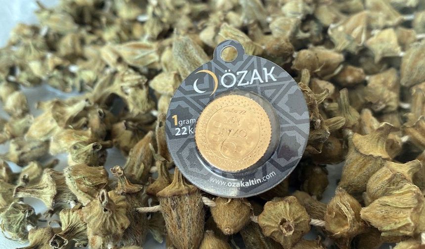 Alanya'da bir kilosu 1 gram altın fiyatına