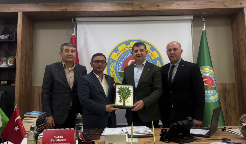 Alanya tarımında büyük çöküş: Üretici can çekişiyor