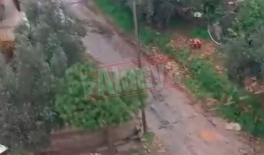 Alanya'da vatandaş bu görüntülerle isyan etti