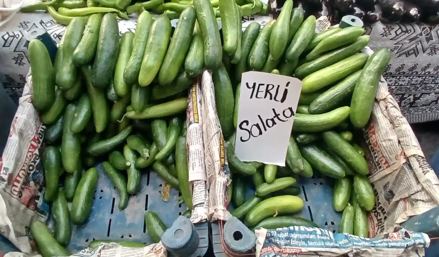 Alanya'da pazara çıkan şaştı kaldı: Don fiyatları uçurdu