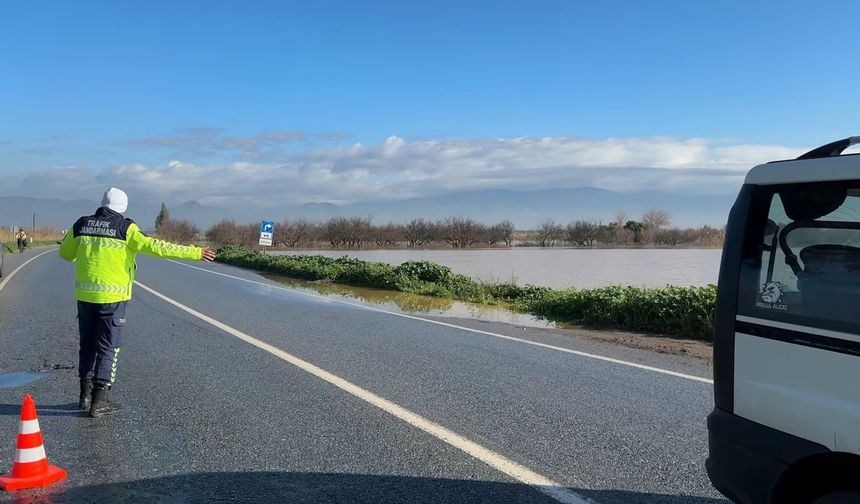 Büyük Menderes Nehri yine taştı, tarım arazileri su altında kaldı