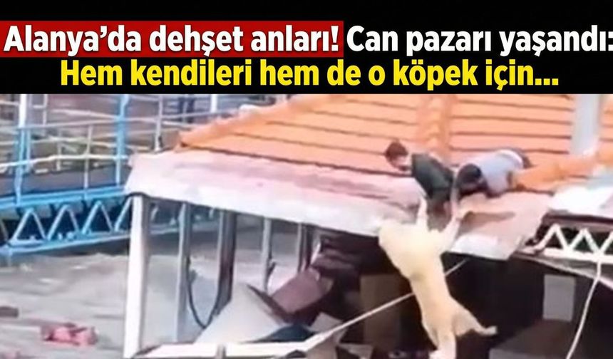 Alanya’da dehşet anları! Can pazarı yaşandı: Hem kendileri hem de o köpek için...