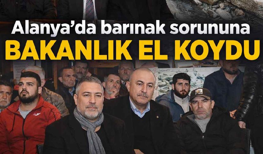 Alanya'da barınak sorununa bakanlık el koydu
