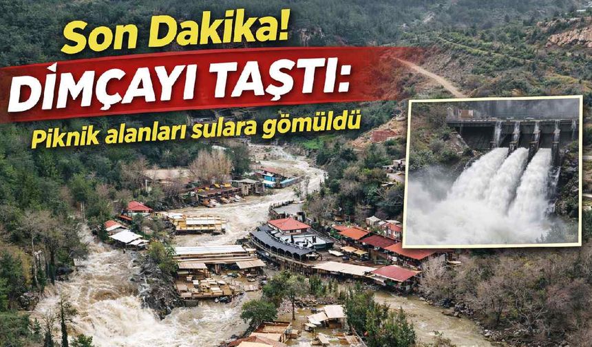 Son Dakika! Dimçayı taştı: Piknik alanları sulara gömüldü