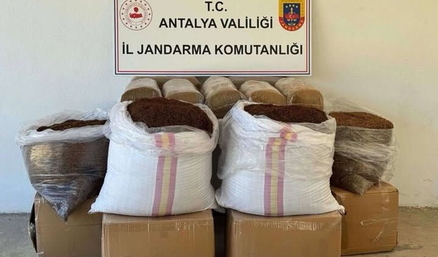 Gazipaşa’da 500 kilo kaçak tütün ele geçirildi