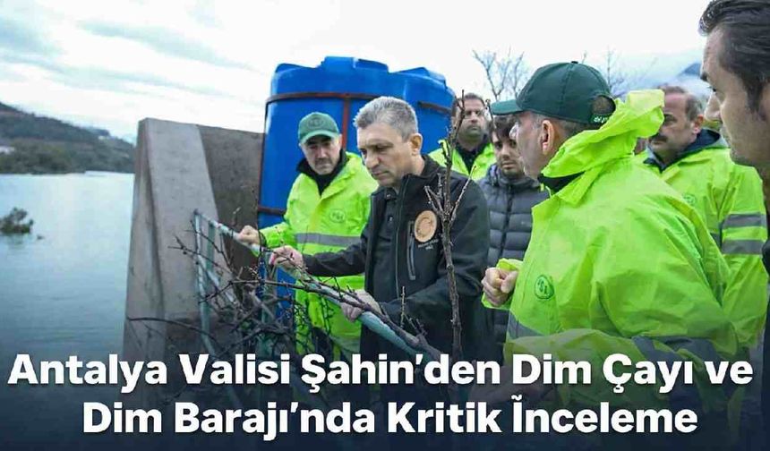 Antalya Valisi Şahin'den Alanya Dim Çayı'nda inceleme