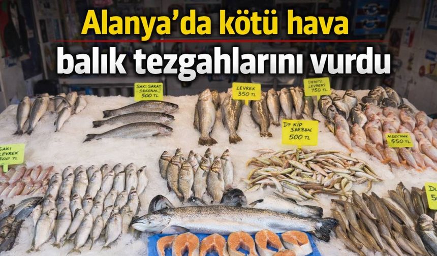 Alanya’da kötü hava balık tezgahlarını vurdu