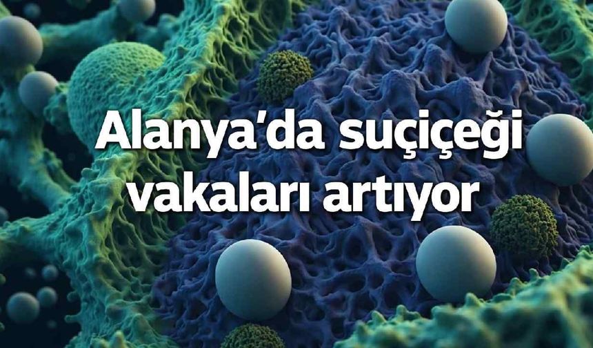 Alanya'da suçiçeği vakaları artıyor