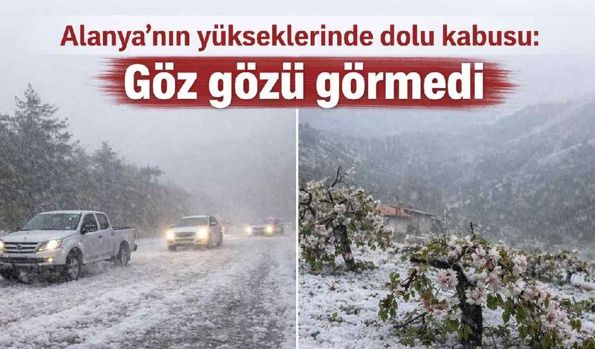 Alanya’nın yükseklerinde dolu kabusu: Göz gözü görmedi