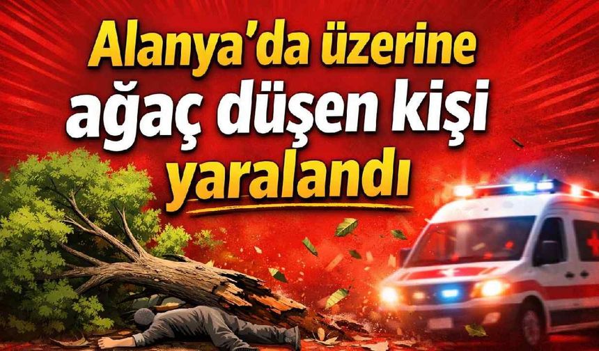 Alanya’da üzerine ağaç düşen kişi yaralandı