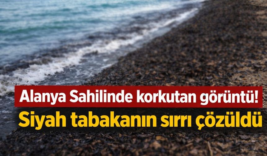 Alanya'da sahili kaplayan siyah tabaka alarmı! Bu da neyin nesi?