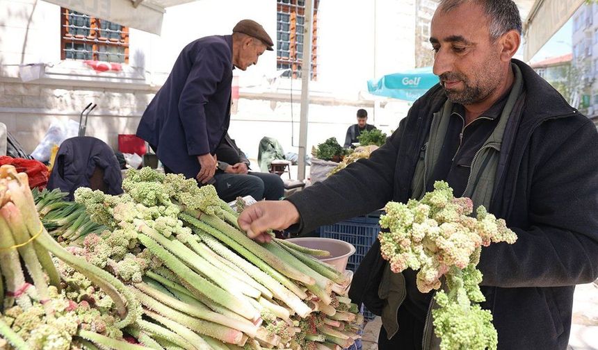 Doğu'nun muzu ışkın tezgaha indi, kilosu 400 lira oldu
