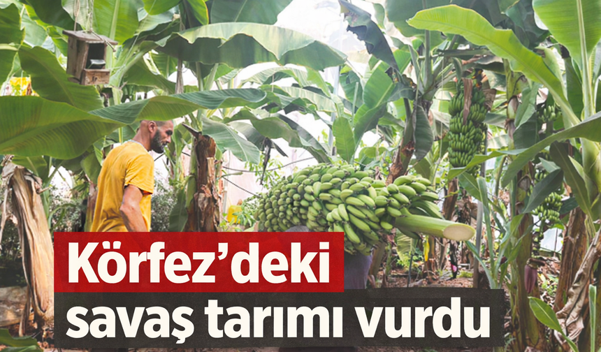 Körfez’deki savaş tarımı vurdu: Gübre ve enerji maliyetleri Alanyalı üreticiyi zorluyor