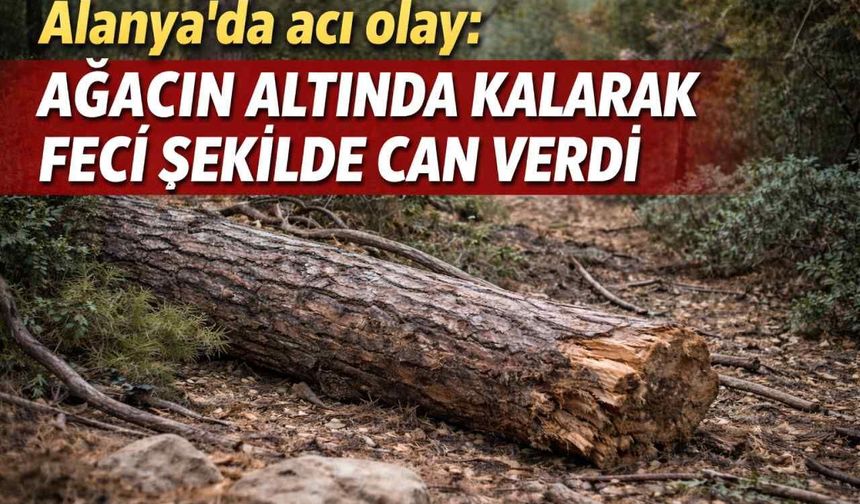 Alanya'da acı olay: Ağacın altında kalarak feci şekilde can verdi
