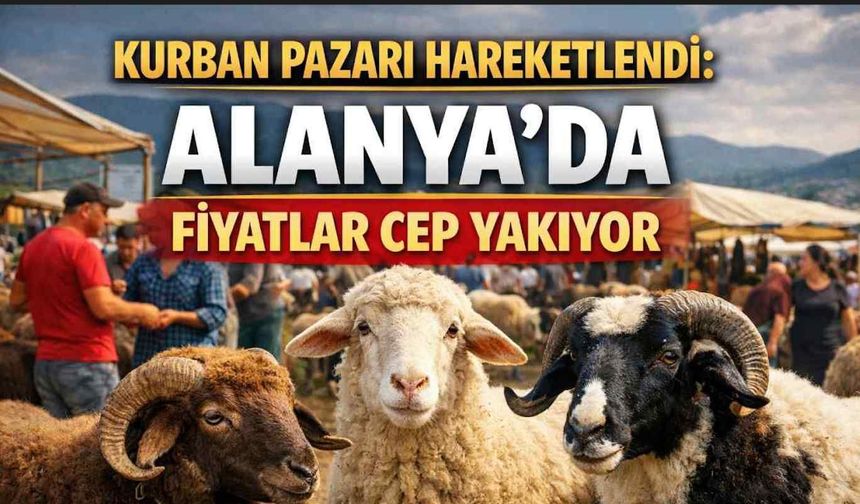Kurban pazarı hareketlendi: Alanya’da fiyatlar cep yakıyor