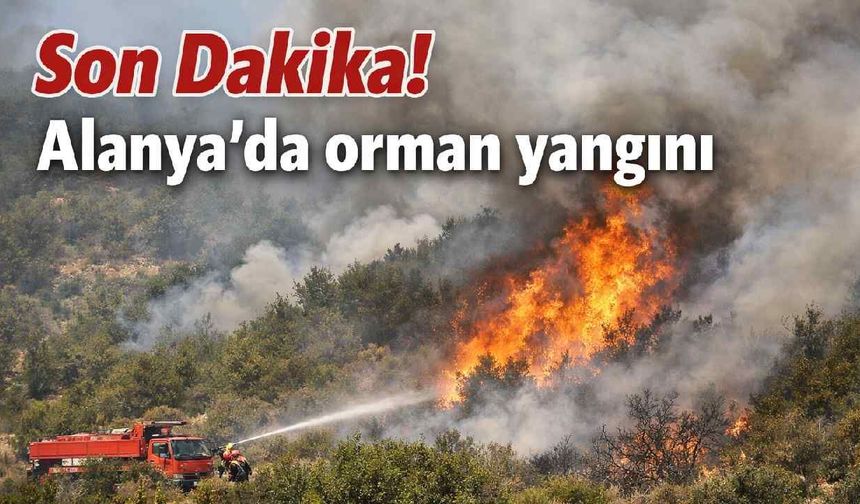 Alanya'da orman yangını: Şıhlar mahallesinde makilik alan kontrol ltına alındı