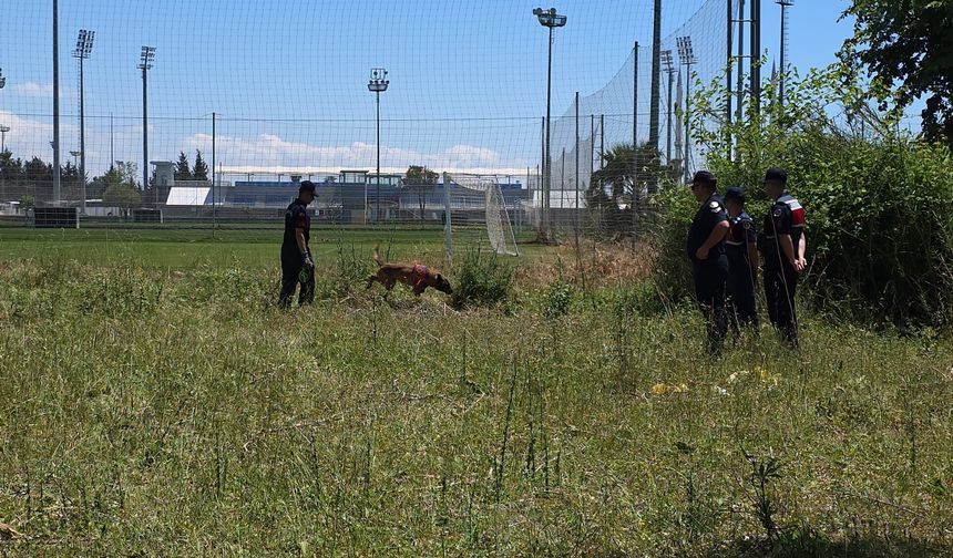 Manavgat'ta boş arazide insan kafatası ve kemikleri bulundu